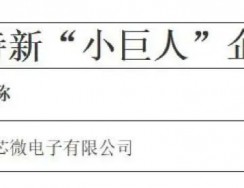 領(lǐng)芯微獲評(píng)國(guó)家級(jí)專(zhuān)精特新“小巨人”企業(yè)